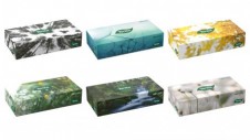 Papírové kosmetické ubrousky Tento BOX 70 kusů, 2vrstvé, 40 balení/karton
